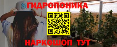 гашик Бийск