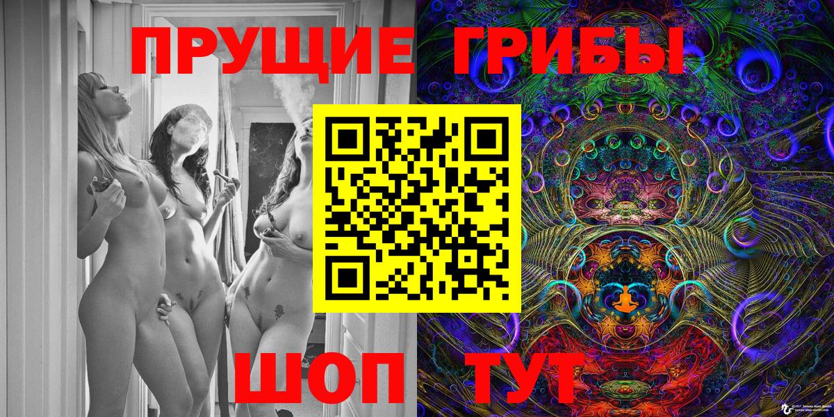 Кириши  Галлюциногенные грибы Magic Shrooms  Вход с VPN  Галлюциногенные грибы Magic Shrooms 