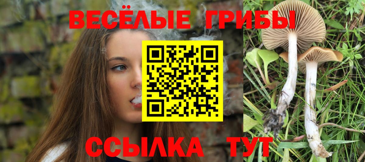 Галлюциногенные грибы ЛСД Кириши